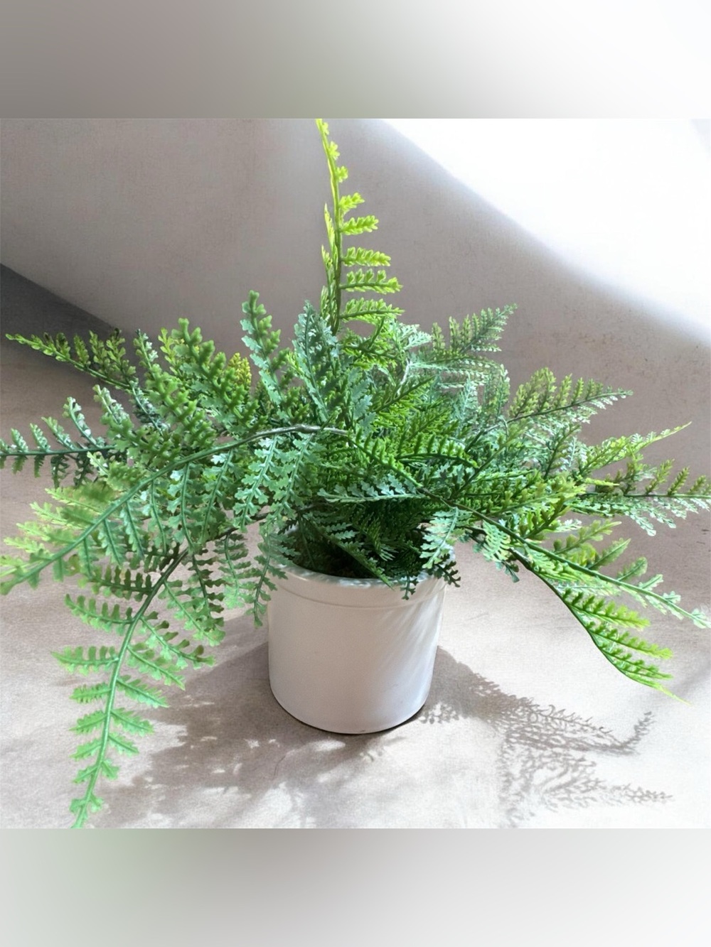 Green  Fake Fern in White Ceramic Pot Pretty❤️